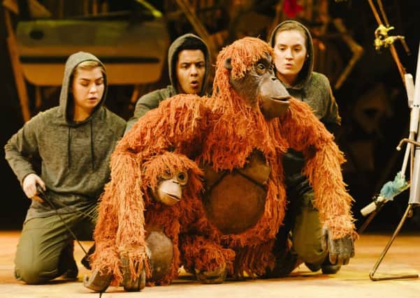 Orangutans Frank and Mani with Running Wild puppeteers Darcy Collins, Fred Davis and Romina Hytten. Picture: Dan Tsantilis.