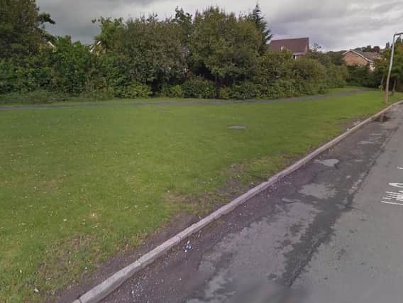 Little Green Lane, Heckmondwike, where the sex attack took place this morning. Picture: Google.