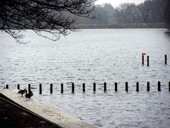 The lake at Roundhay Park