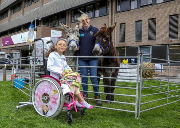 Date:12th April 2017.
Picture James Hardisty.
Leeds General Infirmary Children's Hospital, Clarendon Wing, Leeds, are holding an Easter Day Eggstravaganza for members of the public and patients, able to pet a couple of Donkeys from The Donkey Sanctuary, aswell as chocolate prizes to be won in the enterance of the hospital and drawing competitions on the children's wards. Pictured Ruby Hemsley, 8, of Middleton, meeting the two donkeys Billy-O and Harbin, held by Sami Hanlon.