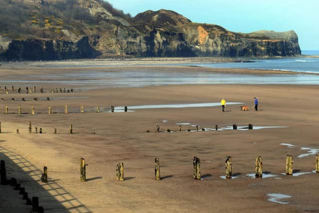Strange substance found at Sandsend and Runswick Bay. File picture: Sandsend