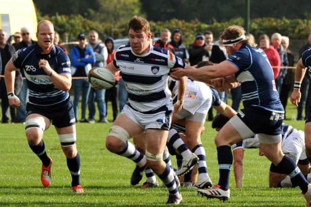 Ollie Stedman