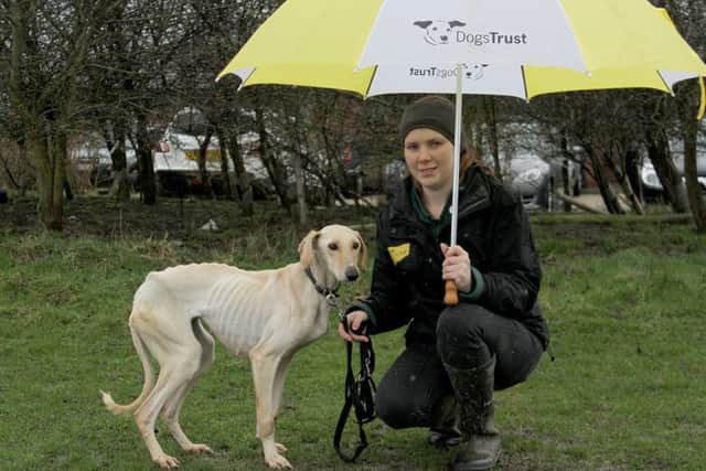Lola, pictured with Natasha from Dogs Trust Leeds, was severely underweight when she was first found.