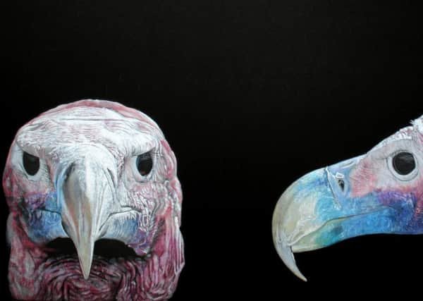 SIDE PROFILE: Artist and University of Leeds graduate Gemma Hayward drew a lappet faced vulture.