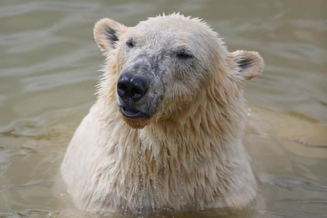 The Yorkshire Wildlife Park is to undergo a 50m facelift.