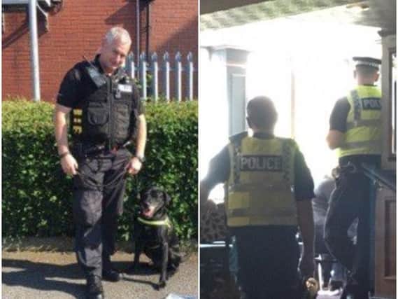 Police have arrested four people and eight bags of cannabis have been seized, after drug sniffer dogs assisted officers in an operation targeting Sheffield's city centre pubs.