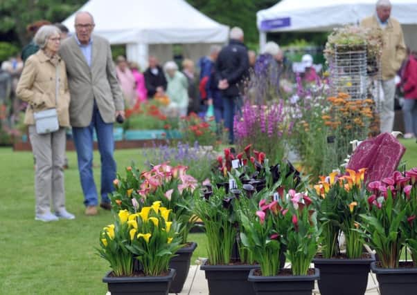 230617  Visitors looking at plant displays at the RHS Harlow Carr Flower Show 2017.