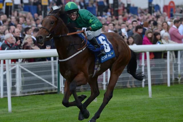 Mattmu, ridden to victory by David Allan at York in 2014. PIC: Anna Gowthorpe/PA Wire