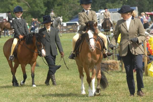 Organisers have got another jam-packed day of fun for everyone at this year's Weeton Show