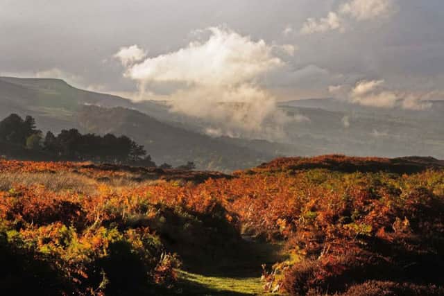 Ilkley Moor. Picture:
Glen Minikin
