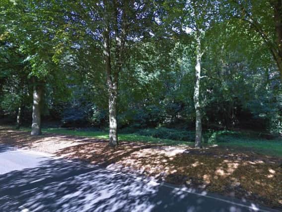The firearm was found in Gledhow Valley Woods in north Leeds. Picture: Google