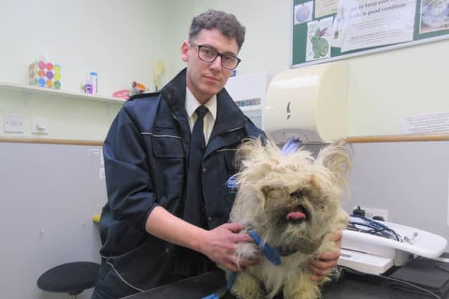 Neglected Shih Tzu found in Ossett.