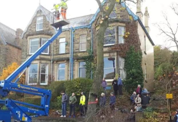 A judge has made orders stopping people taking "unlawful direct action" preventing the "lawful" felling of roadside trees.