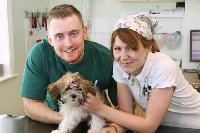 The puppy which ate morphine