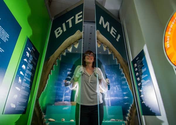 Leeds City Museum's new 'Bite Me' exhibition. Pictured is Ruth Martin, Curator of Exhibitions at Leeds City Museum. Image by James Hardisty.