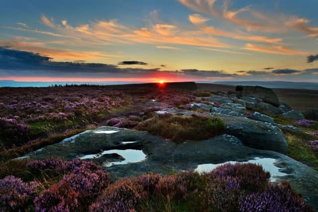 PIC: Bruce Rollinson