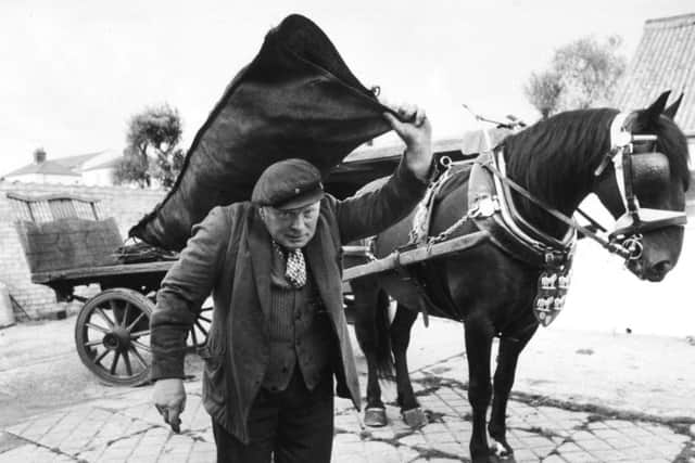 Bridlington, 26th September 1984A carthorse called Royal makes its last round delivering coal tomorrow and marks the end of a 100 year old business.Mr. Stephen Nicholls, 49, of Mill Hill, Bridlington, whose family has been delivering fuel by horse and cart since 1870, has sold the business to a Rotherham firm, Ian Randall, which will deliver by lorry.Royal ended up having a remarkable career change.The ten year old gelding ended up as a wedding carriage horse ferrying brides to church in style, as well as on time.Mr. Nicholls ommented."He seems to prefer confetti to coal dust".