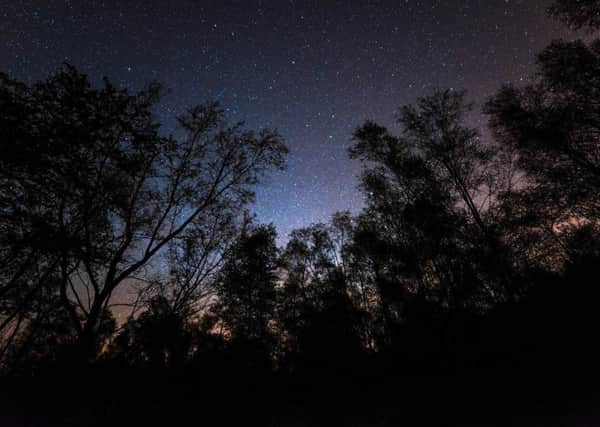 Stars in the dark skies at Gisburn Forest.