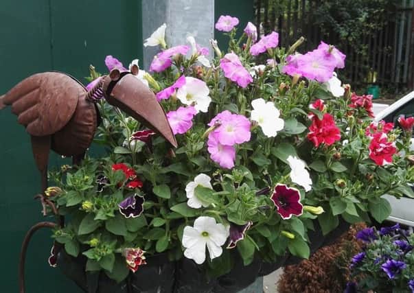 SHORTLISTED: Otley in Bloom is hoping to seal national glory later this month.