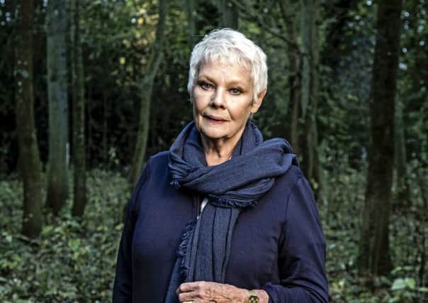 ROOTING FOR TREES: The Yorkshire-born actress will appear in a one-hour special Judi Dench: My Passion For Trees.