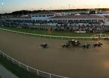 Chelmsford City racecourse.