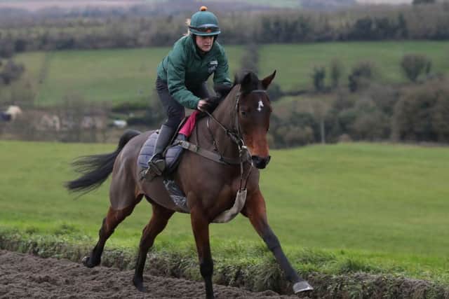 Blaklion on the gallops during the stable visit at Grange Hill Farm, Cheltenham. PIC: Andrew Matthews/PA Wire
