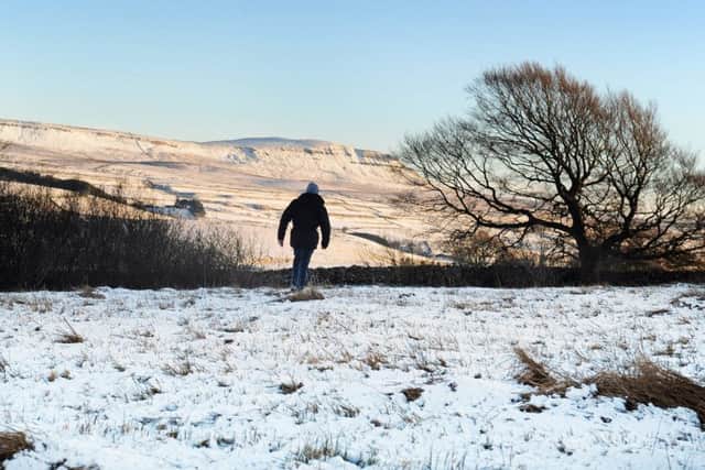 Ashes Pasture, Ribblehead. PIC: Simon Hulme