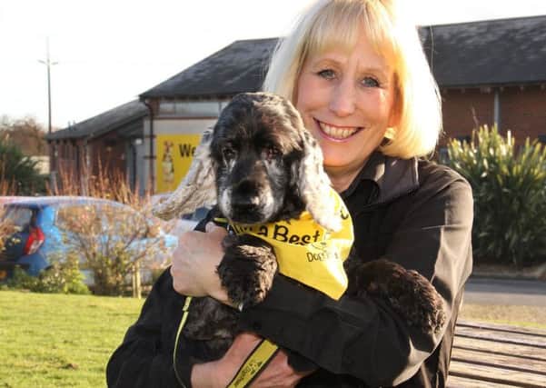 BEST FRIEND: Amanda Sands, manager at the Dogs Trust, with her own rescue dog Clooney.
