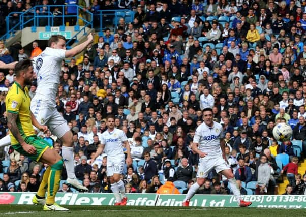 Chris Wood scoresa late in the first half to make reduce the deficit to 3-1 at home to Norwich last season. Picture: Varley.