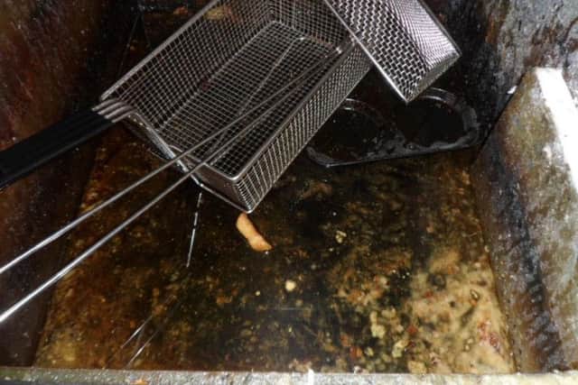 The fryer