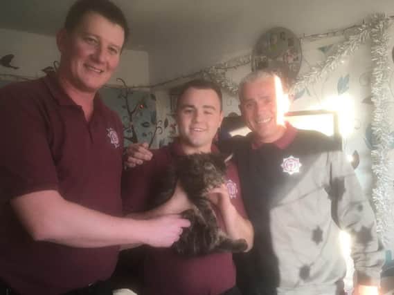 North Yorkshire Fire & Rescue photo taken after officers rescued a 12-week-old kitten from inside a living room sofa at a family home in Tadcaster, North Yorkshire.