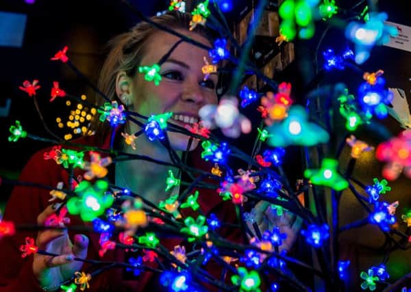 WONDERLAND: Georgina Brookes admires the fairy lights. PIC: James Hardisty