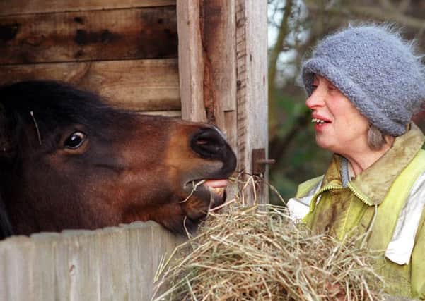 Feeding time for Annabelle the Dartmoor pony who was rescued by Miss Shirley Woodhead from a barn next to a blazing barn as fire swept across a small holding  at New Farnley near Leeds.