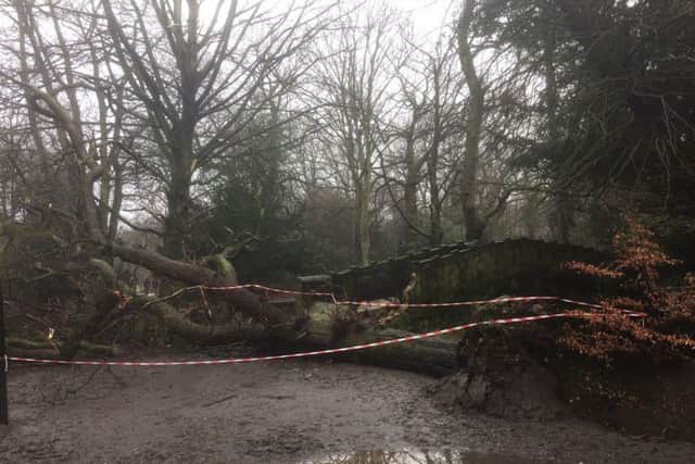 The area around the fallen tree has been cordoned off until it can be removed and repairs have been made to the bridge. Picture: Meanwood Valley Partnership