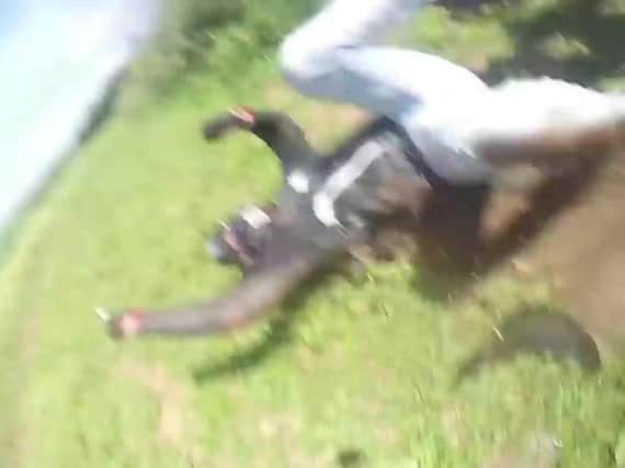 One of the riders flung from his bike