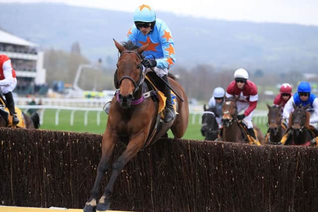 Un De Sceaux, ridden by Ruby Walsh, at last year's Cheltenham Festival. PIC: Mike Egerton/PA Wire