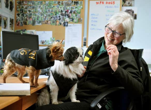 Trust Home from Home co ordinator Joy Corrie with two of her own dogs she brings to work with her.