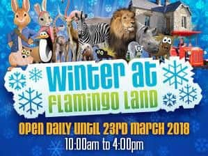 Winter fun at Flamingo Land