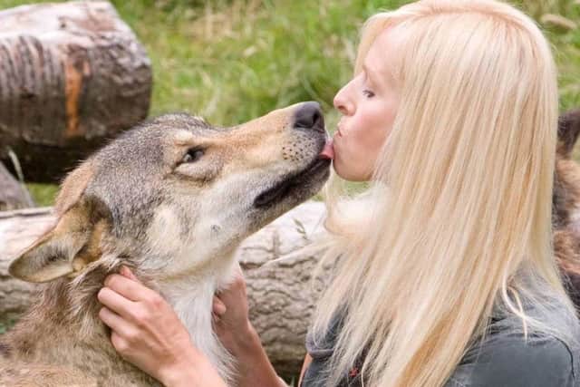 Torak the wolf has been captured. (Photo: PA).