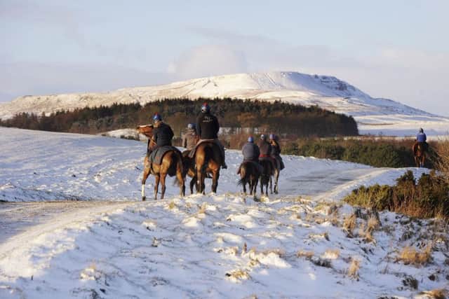 Racehorses make their way along snow covered roads to the gallops on Middleham Moor near Leyburn, as yellow snow and ice warnings are in place for northern England and Northern Ireland and much of Wales. PRESS ASSOCIATION Photo. Picture date: Wednesday January 17, 2018. See PA story WEATHER Cold. Photo credit should read: John Giles/PA Wire