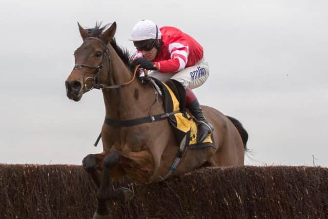 Coneygree hoping to breathe new life into career.