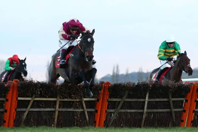 Beer Goggles, ridden by Richard Johnson, on the way to winning the Ladbrokes Long Distance Hurdle at Newbury in December. PIC: Tim Goode/PA Wire