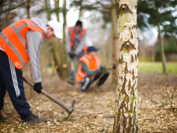 Those ordered to take on unpaid Community Payback work complete in a range of manual tasks, including removing graffiti, litter picking and clearing parks.