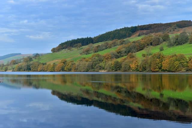 Autumn colours reflected in Gouthwaite Reservoir in Nidderdale. PIC: Bruce Rollinson