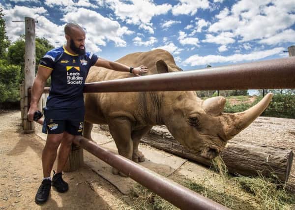 From one rhino to another: Leeds' Jamie Jones-Buchanan gets close with a rhino at Wemibee Zoo in Melbourne. PIC: Leeds Rhinos