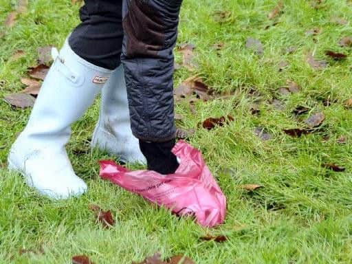 Waging war on Leeds dog dirt