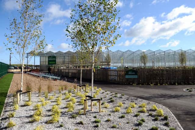 Offical opening of The Arium, Leeds city's new horticultural nursery.
5th October 2017.
Picture Jonathan Gawthorpe