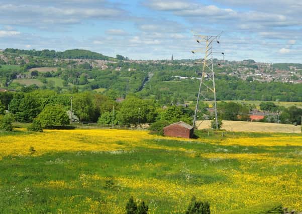 Land off Calverley Lane in Farsley targeted by developers for housing