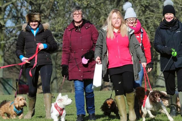 Participants enjoy Bark in the Park.