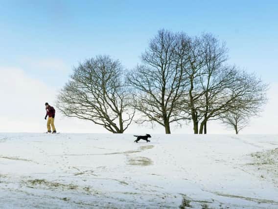 Snowboarder Mark Wilson, from Chapel Allerton, in Roundhay Park with his dog Lexie